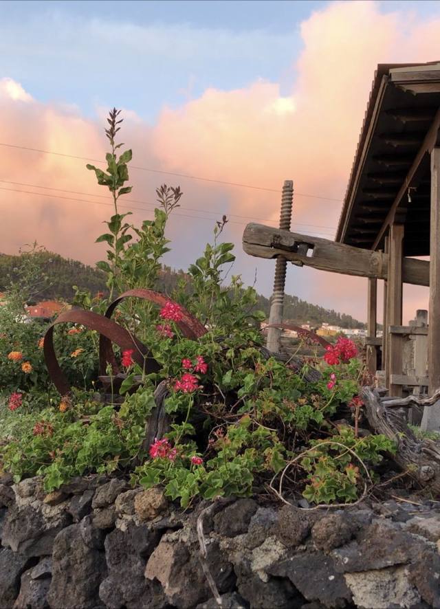 Bodegas La Casa del Volcán