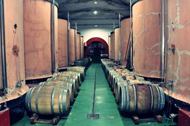 Bodegas Teneguía