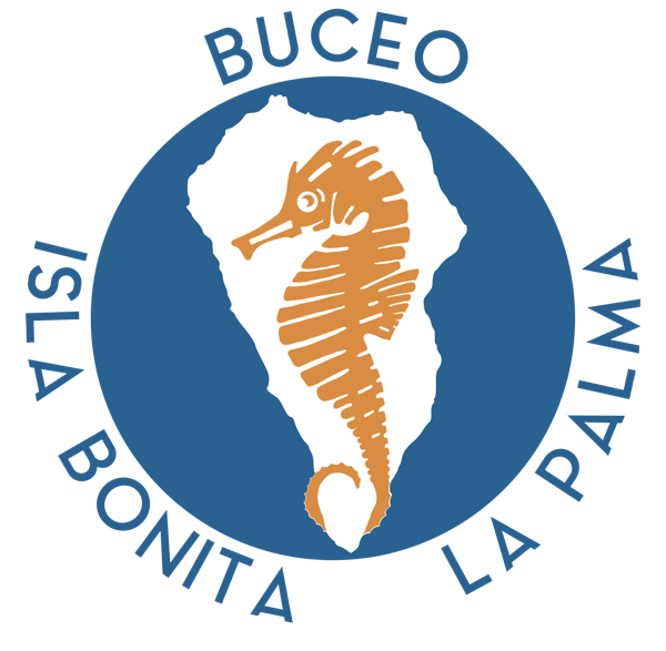 Buceo Isla Bonita