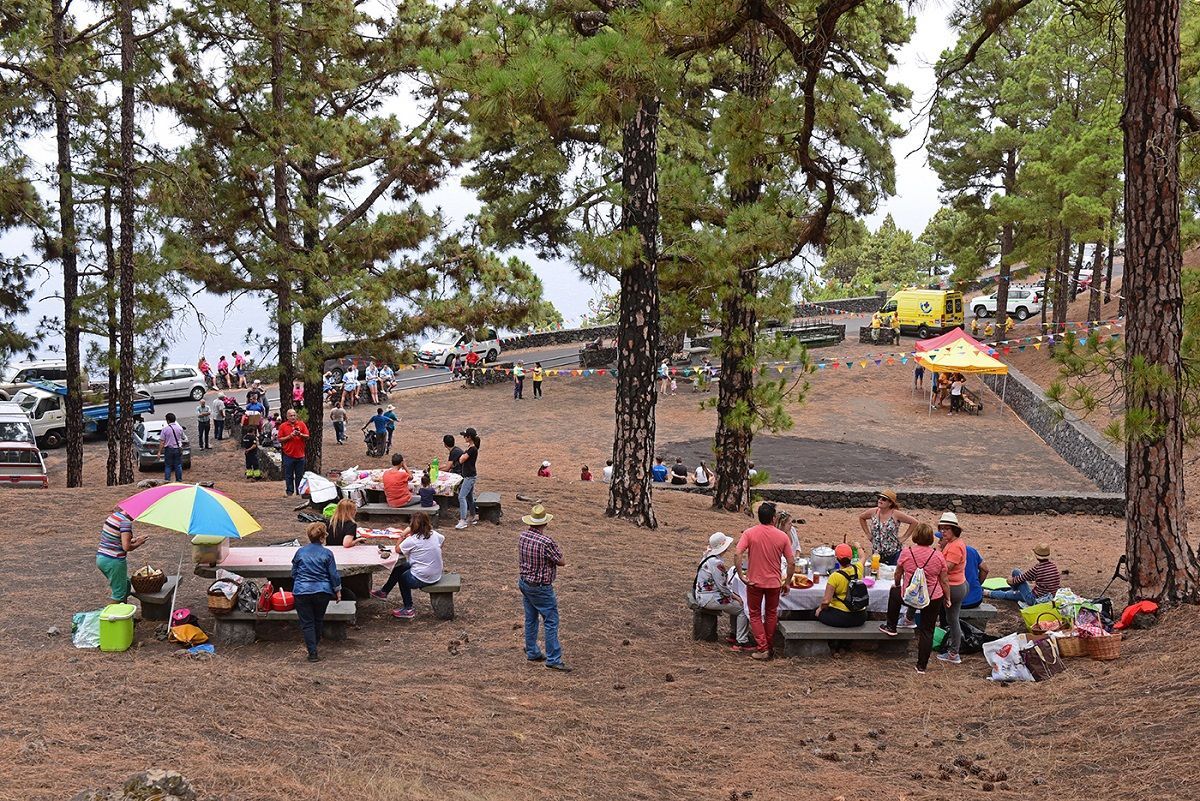 Fiesta del Pino de la Virgen