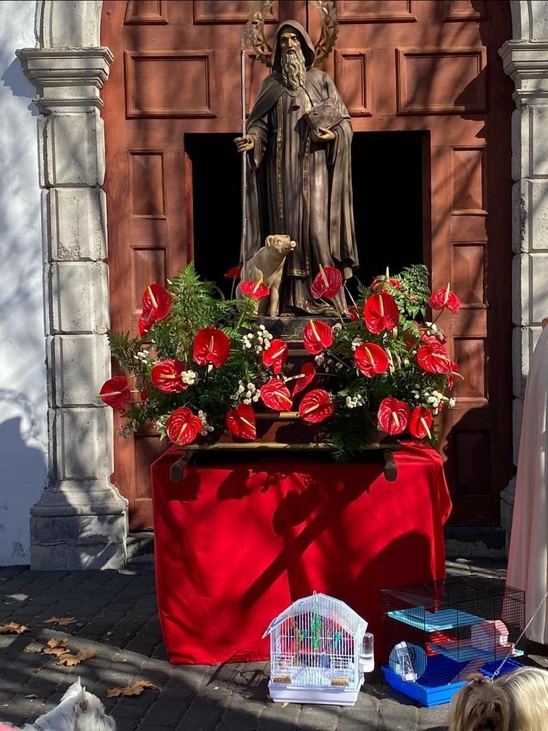 Fiestas de San Antonio Abad