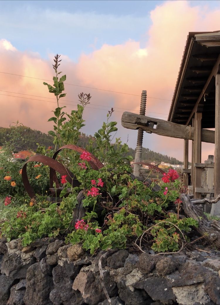 Bodegas La Casa del Volcán
