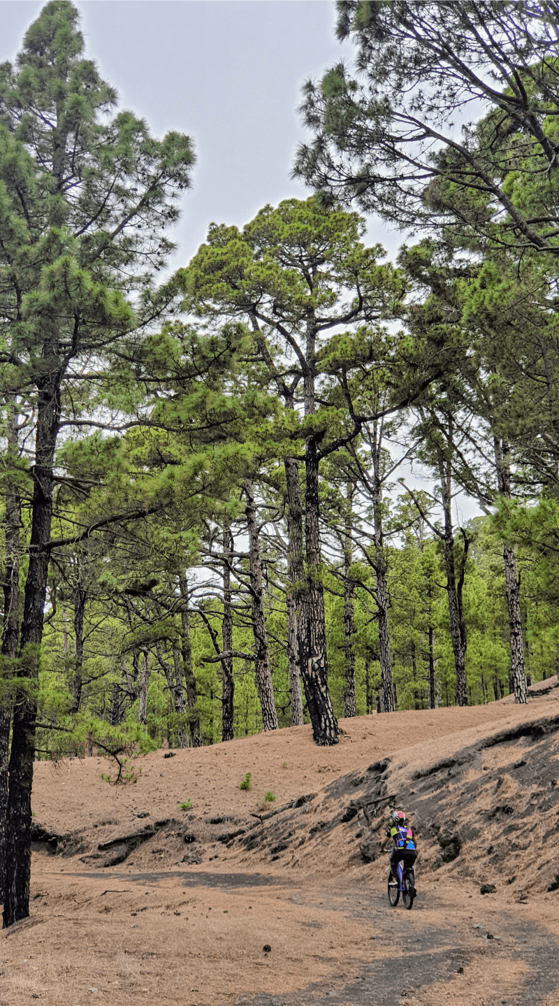 Ruta MTB Nº2